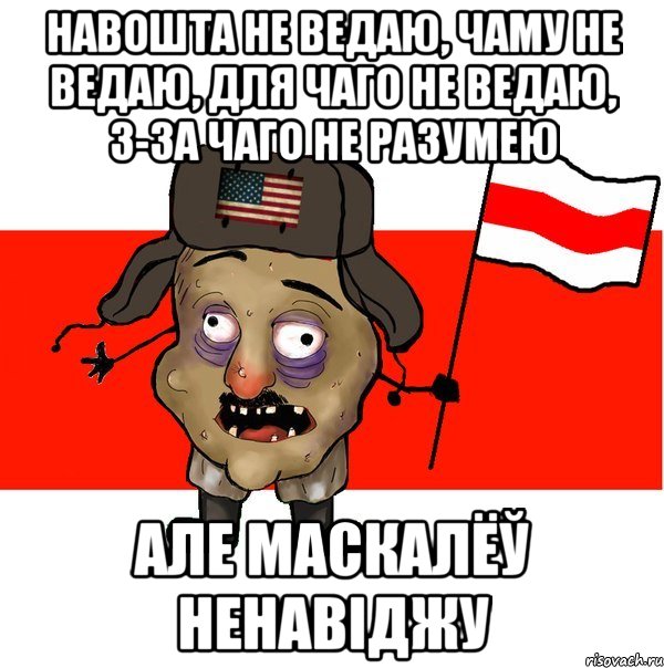 навошта не ведаю, чаму не ведаю, для чаго не ведаю, з-за чаго не разумею але маскалёў ненавіджу, Мем  свидомит