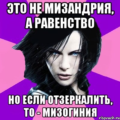 Это не мизандрия, а равенство но если отзеркалить, то - мизогиния, Мем Типичная феминистка