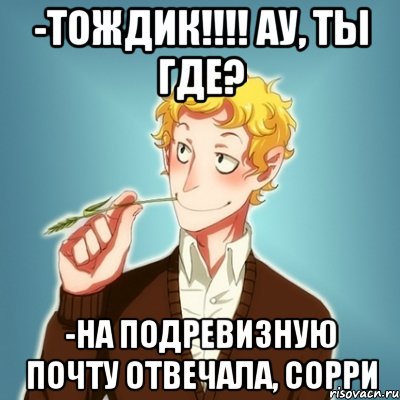 -ТОЖДИК!!!! АУ, ТЫ ГДЕ? -на подревизную почту отвечала, сорри, Мем Типичный Есенин