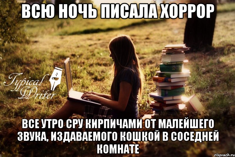 всю ночь писала хоррор все утро сру кирпичами от малейшего звука, издаваемого кошкой в соседней комнате, Мем Типичный писатель