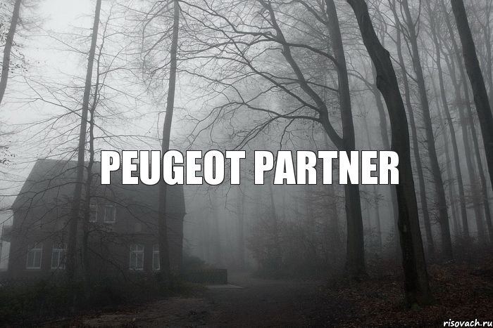 peugeot partner