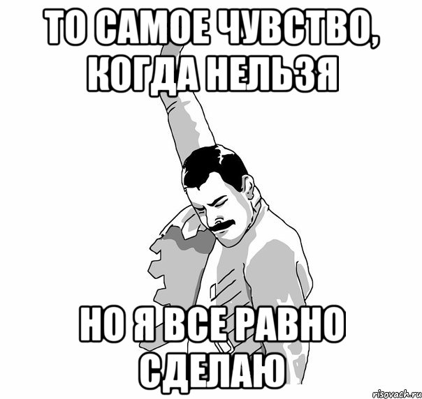 То самое чувство, когда нельзя но я все равно сделаю