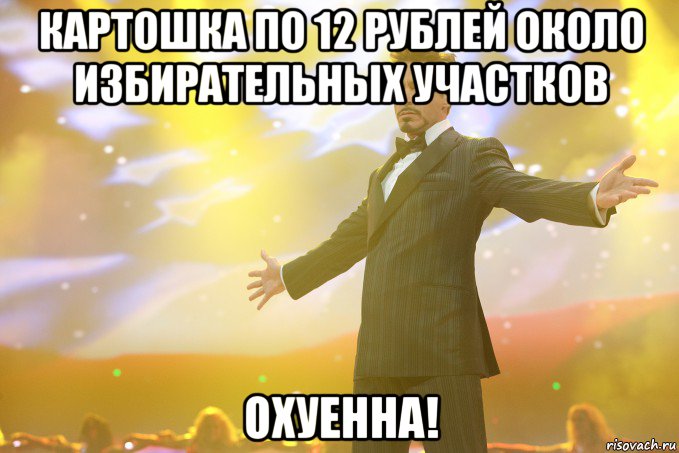 Картошка по 12 рублей около избирательных участков охуенна!, Мем Тони Старк (Роберт Дауни младший)