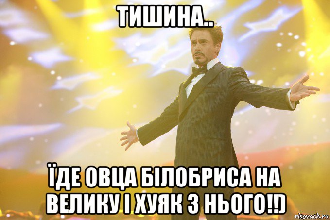 Тишина.. Їде овца білобриса на велику І хуяк з нього!!), Мем Тони Старк (Роберт Дауни младший)