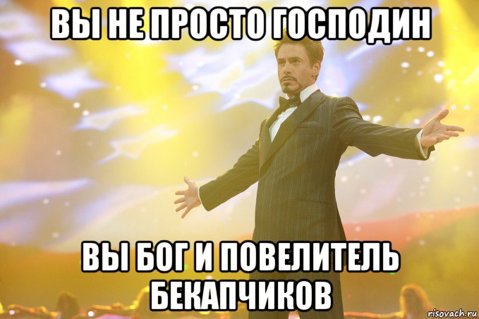 Вы не просто ГОСПОДИН Вы БОГ и ПОВЕЛИТЕЛЬ бекапчиков, Мем Тони Старк (Роберт Дауни младший)