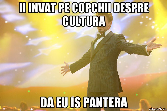 II INVAT PE COPCHII DESPRE CULTURA DA EU IS PANTERA, Мем Тони Старк (Роберт Дауни младший)