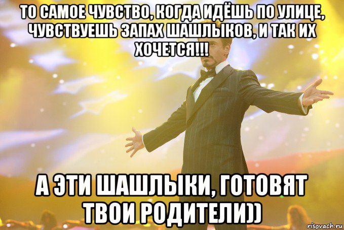 То самое чувство, когда идёшь по улице, чувствуешь запах шашлыков, и так их хочется!!! А эти шашлыки, готовят твои родители)), Мем Тони Старк (Роберт Дауни младший)