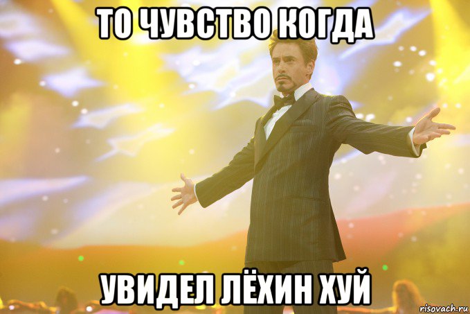 ТО ЧУВСТВО КОГДА УВИДЕЛ ЛЁХИН ХУЙ, Мем Тони Старк (Роберт Дауни младший)