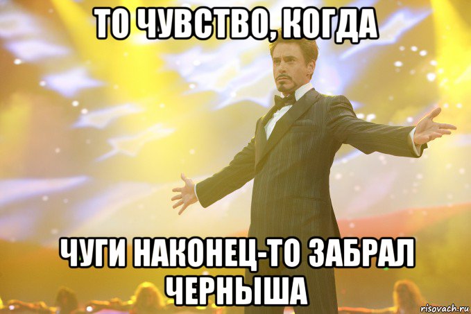 То чувство, когда Чуги наконец-то забрал черныша, Мем Тони Старк (Роберт Дауни младший)