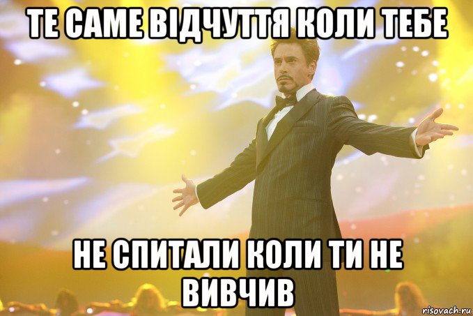 Те саме відчуття коли тебе не спитали коли ти не вивчив, Мем Тони Старк (Роберт Дауни младший)