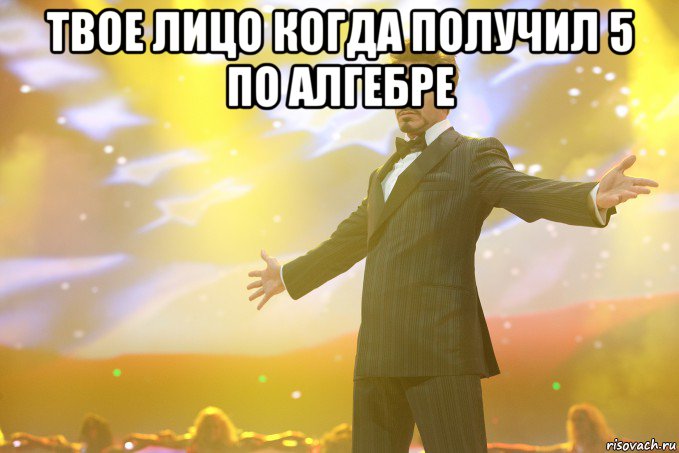 Твое лицо когда получил 5 по алгебре , Мем Тони Старк (Роберт Дауни младший)