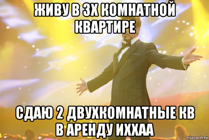 живу в 3х комнатной квартире сдаю 2 двухкомнатные кв в аренду иххаа, Мем Тони Старк (Роберт Дауни младший)