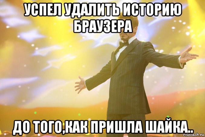 Успел удалить историю браузера до того,как пришла шайка.., Мем Тони Старк (Роберт Дауни младший)