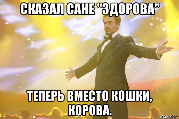 Сказал Сане "Здорова" Теперь вместо кошки, корова., Мем Тони Старк (Роберт Дауни младший)