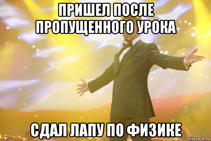 Пришел после пропущенного урока Сдал лапу по физике, Мем Тони Старк (Роберт Дауни младший)