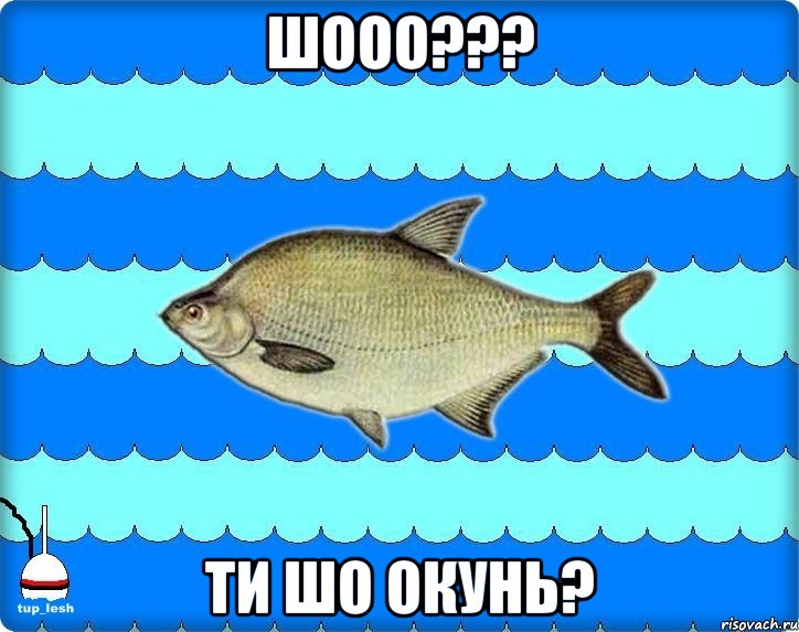 шооо??? ти шо окунь?