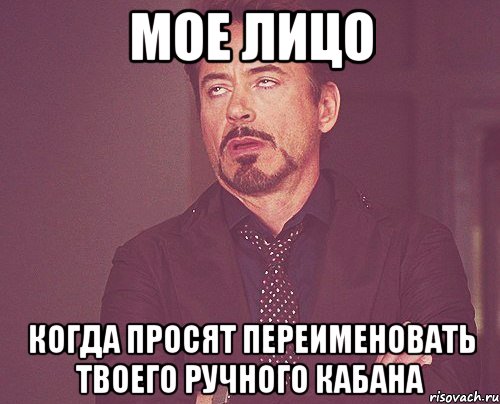 мое лицо когда просят переименовать твоего ручного кабана, Мем твое выражение лица