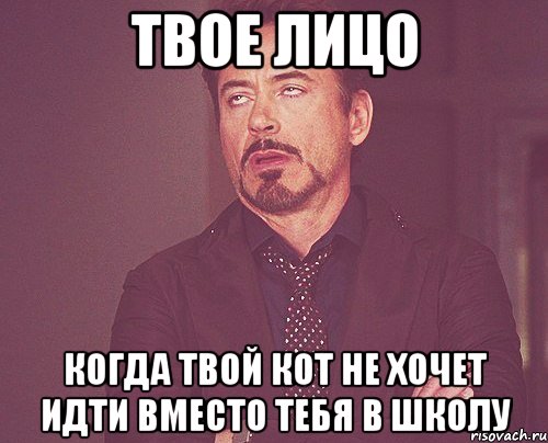 ТВОЕ ЛИЦО КОГДА ТВОЙ КОТ НЕ ХОЧЕТ ИДТИ ВМЕСТО ТЕБЯ В ШКОЛУ, Мем твое выражение лица