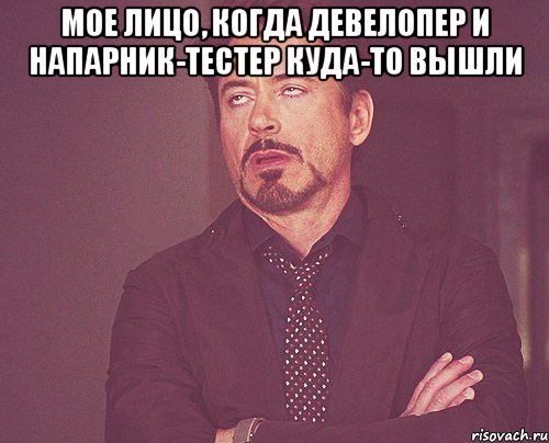 мое лицо, когда девелопер и напарник-тестер куда-то вышли , Мем твое выражение лица