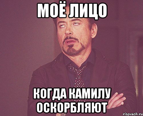 Моё лицо когда Камилу оскорбляют, Мем твое выражение лица