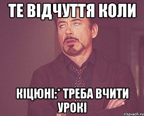 те відчуття коли Кіцюні:* треба вчити урокі, Мем твое выражение лица