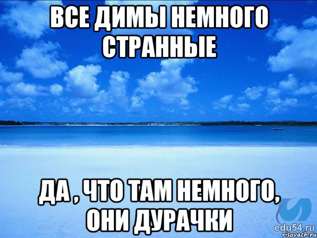 Все Димы немного странные Да , что там немного, они дурачки, Мем у каждой Ксюши должен быть свой 