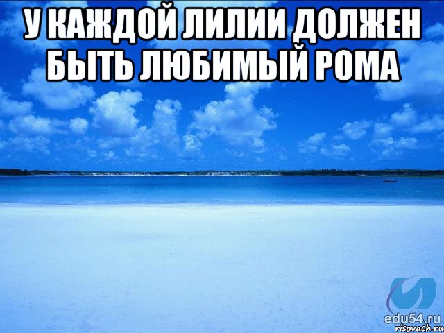 У каждой лилии должен быть любимый рома , Мем у каждой Ксюши должен быть свой 