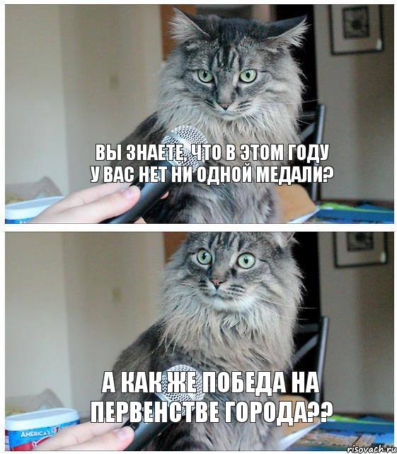 Вы знаете, что в этом году у вас нет ни одной медали? А как же победа на первенстве города??, Комикс  кот с микрофоном