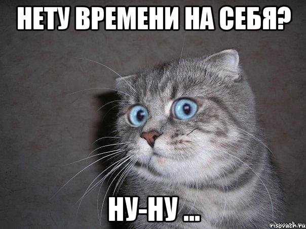 нету времени на себя? ну-ну ..., Мем  удивлённый кот