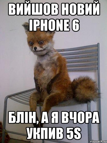 Вийшов новий Iphone 6 Блін, а я вчора укпив 5s, Мем Упоротая лиса