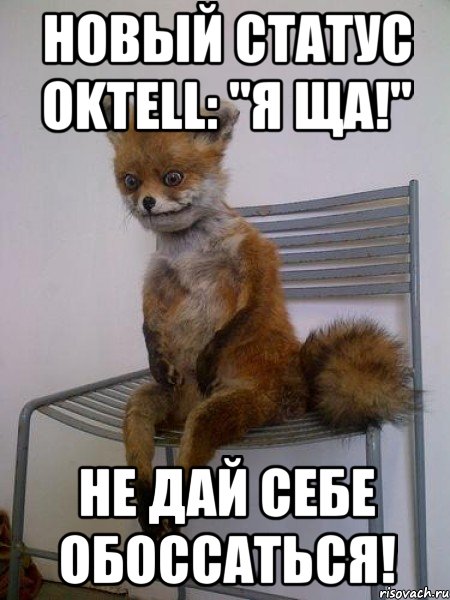 Новый статус oktell: "Я ща!" Не дай себе обоссаться!, Мем Упоротая лиса