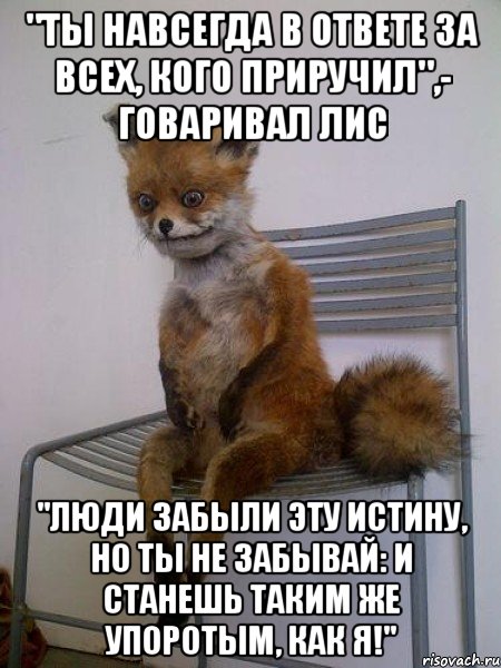 "Ты навсегда в ответе за всех, кого приручил",- говаривал лис "Люди забыли эту истину, но ты не забывай: и станешь таким же упоротым, как я!", Мем Упоротая лиса