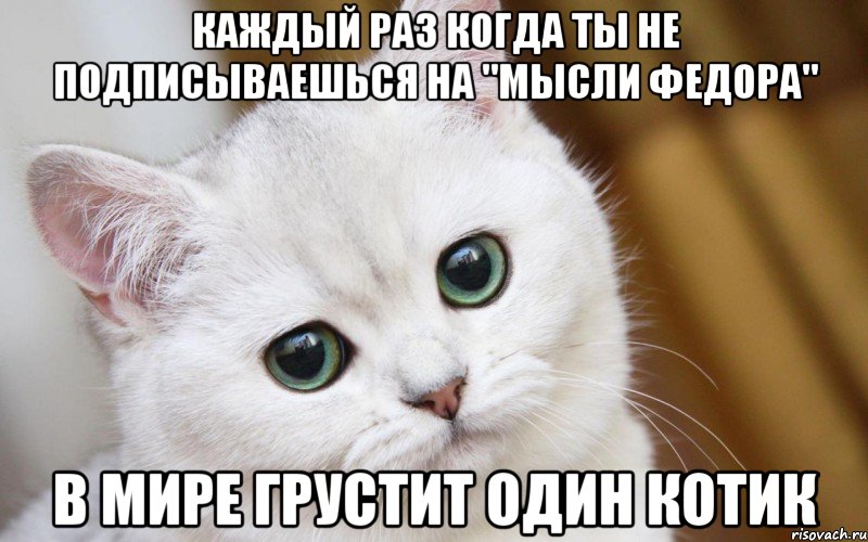 Каждый раз когда ты не подписываешься на "Мысли Федора" В мире грустит один котик, Мем  В мире грустит один котик