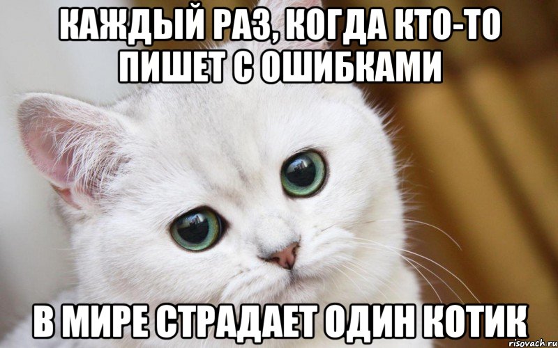 Каждый раз, когда кто-то пишет с ошибками в мире страдает один котик, Мем  В мире грустит один котик