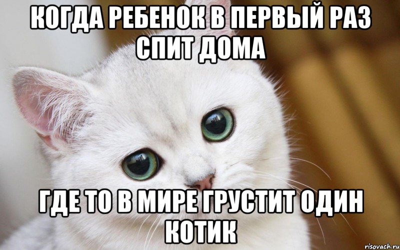 Когда ребенок в первый раз спит дома Где то в мире грустит один котик, Мем  В мире грустит один котик