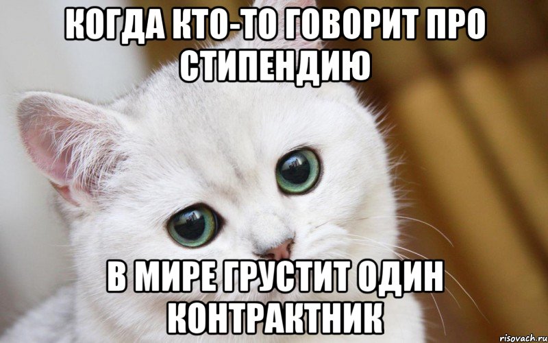 Когда кто-то говорит про стипендию В мире грустит один контрактник, Мем  В мире грустит один котик