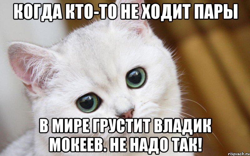 Когда кто-то не ходит пары В мире грустит Владик Мокеев. Не надо так!, Мем  В мире грустит один котик