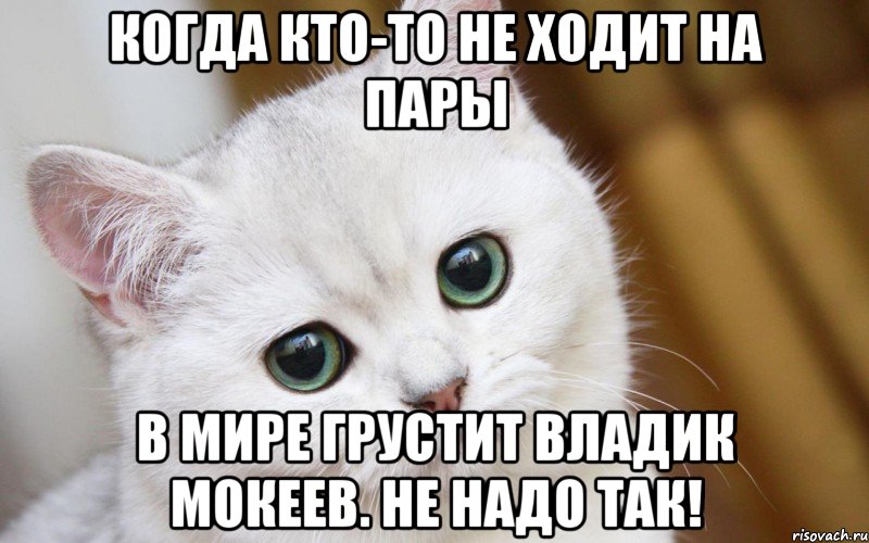 Когда кто-то не ходит на пары В мире грустит Владик Мокеев. Не надо так!, Мем  В мире грустит один котик