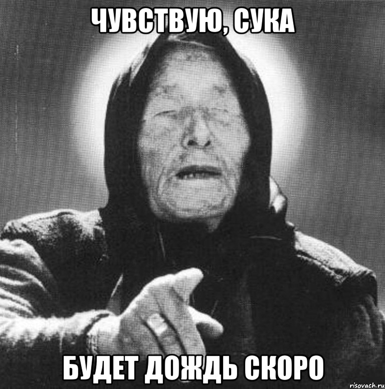 Чувствую, сука Будет дождь скоро, Мем Ванга