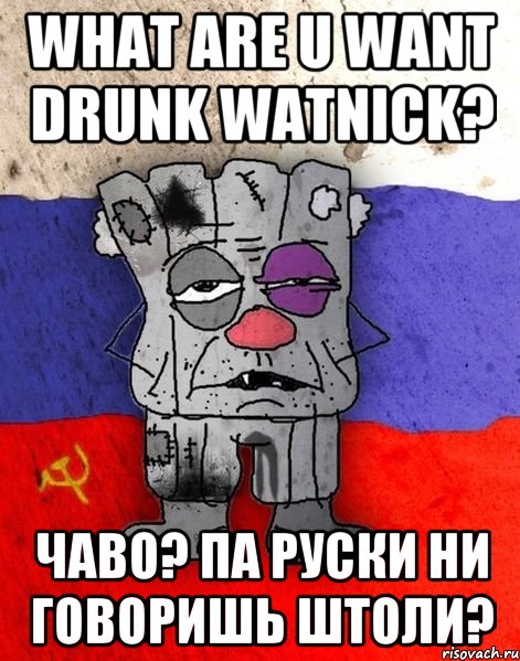 What are u want drunk watnick? ЧАВО? ПА РУСКИ НИ ГОВОРИШЬ ШТОЛИ?, Мем Ватник