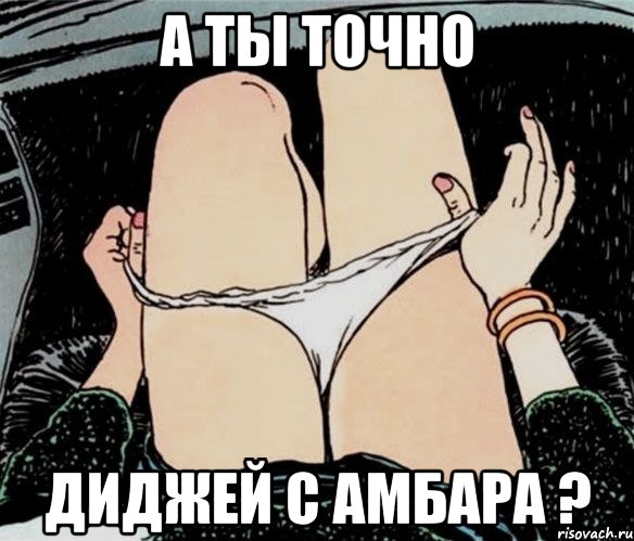 А ТЫ ТОЧНО ДИДЖЕЙ С АМБАРА ?, Мем А ты точно