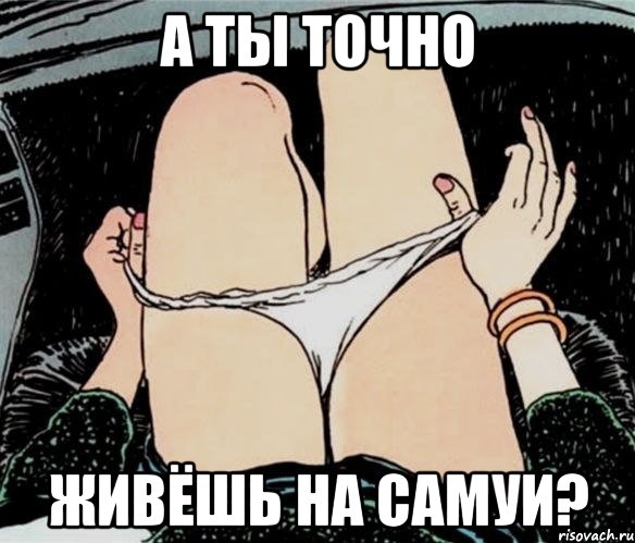 а ты точно живёшь на самуи?, Мем А ты точно