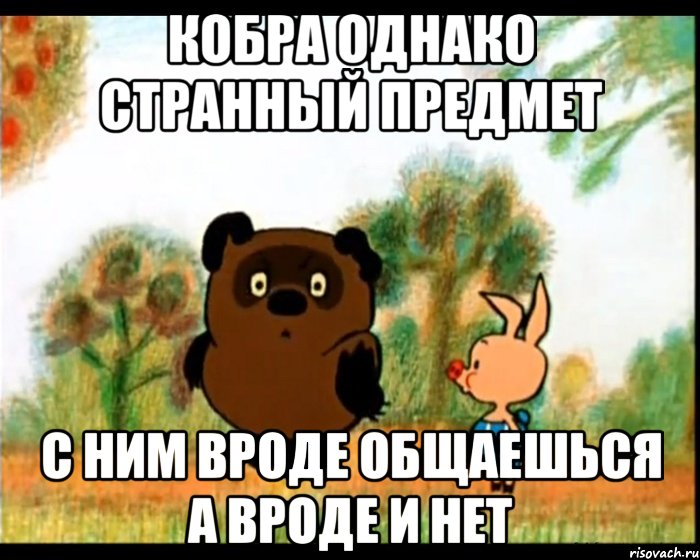 Кобра однако странный предмет С ним вроде общаешься а вроде и нет