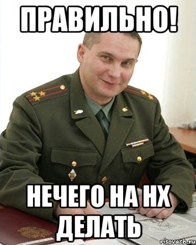 Правильно! нечего на нх делать, Мем Военком (полковник)