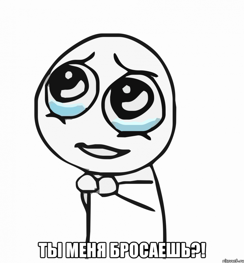  Ты меня бросаешь?!, Мем  ну пожалуйста (please)