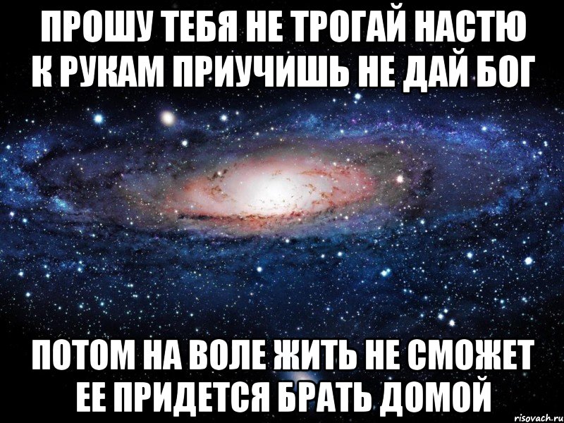 прошу тебя не трогай настю к рукам приучишь не дай бог потом на воле жить не сможет ее придется брать домой, Мем Вселенная