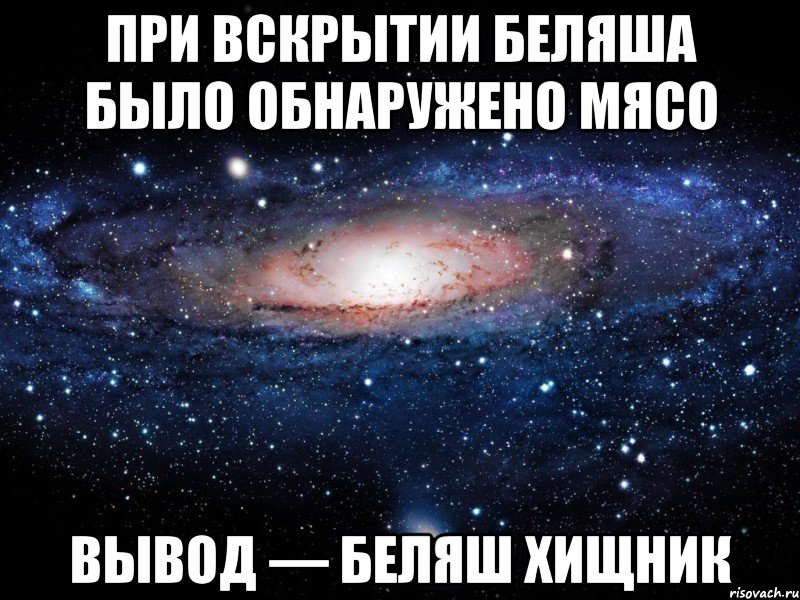 При вскрытии беляша было обнаружено мясо Вывод — беляш хищник, Мем Вселенная