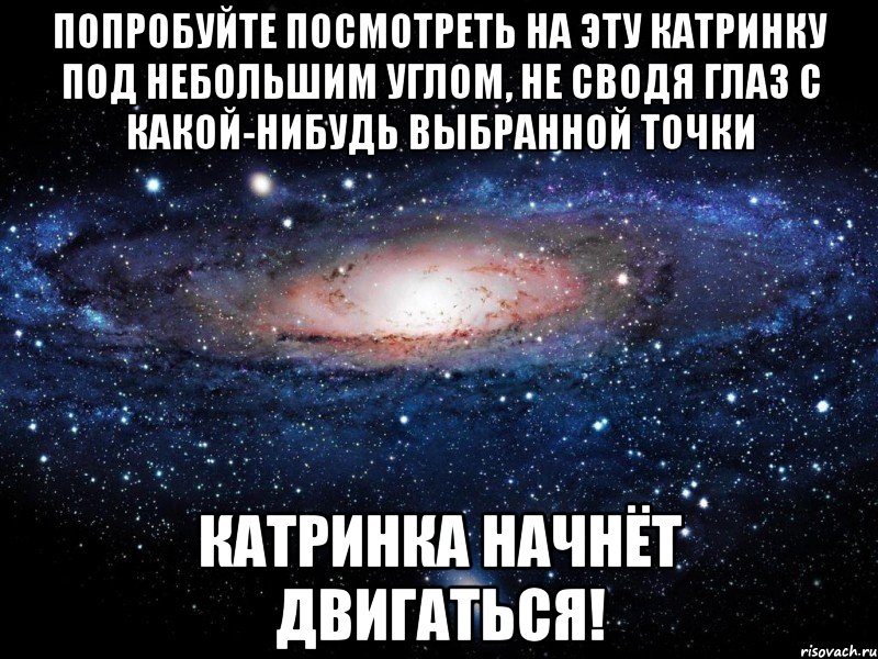 попробуйте посмотреть на эту катринку под небольшим углом, не сводя глаз с какой-нибудь выбранной точки катринка начнёт двигаться!, Мем Вселенная