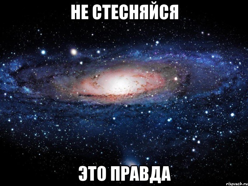 Не стесняйся это правда, Мем Вселенная