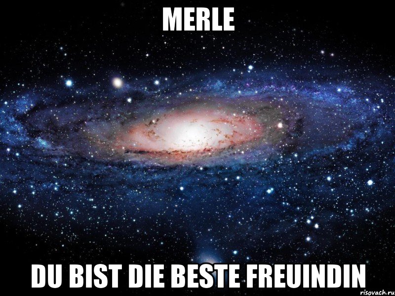 Merle DU BIST DIE BESTE FREUINDIN, Мем Вселенная